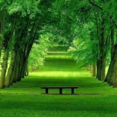 párterápia, párkapcsolati konzultáció