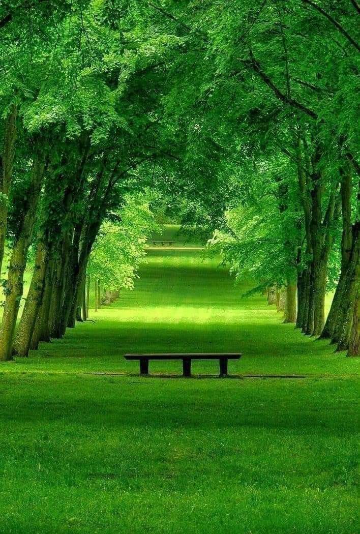 párterápia, párkapcsolati konzultáció