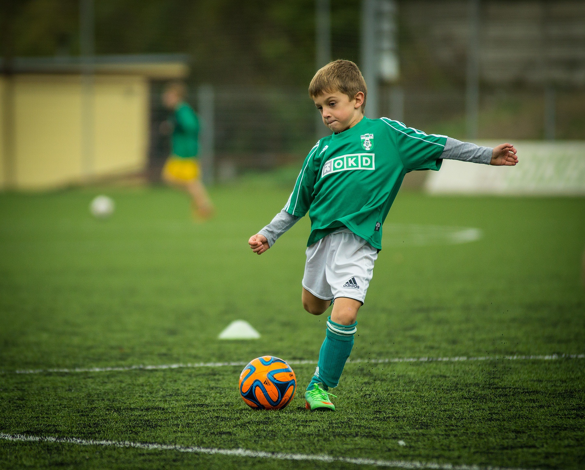 Sportteljesítmény, Táplálkozás és Mentál Coach / Jelentkezési és Vizsgadíj - Image 4