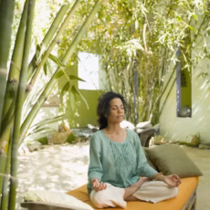 Holisztikus mentor / Holistic Mentor / Holistischer Mentor