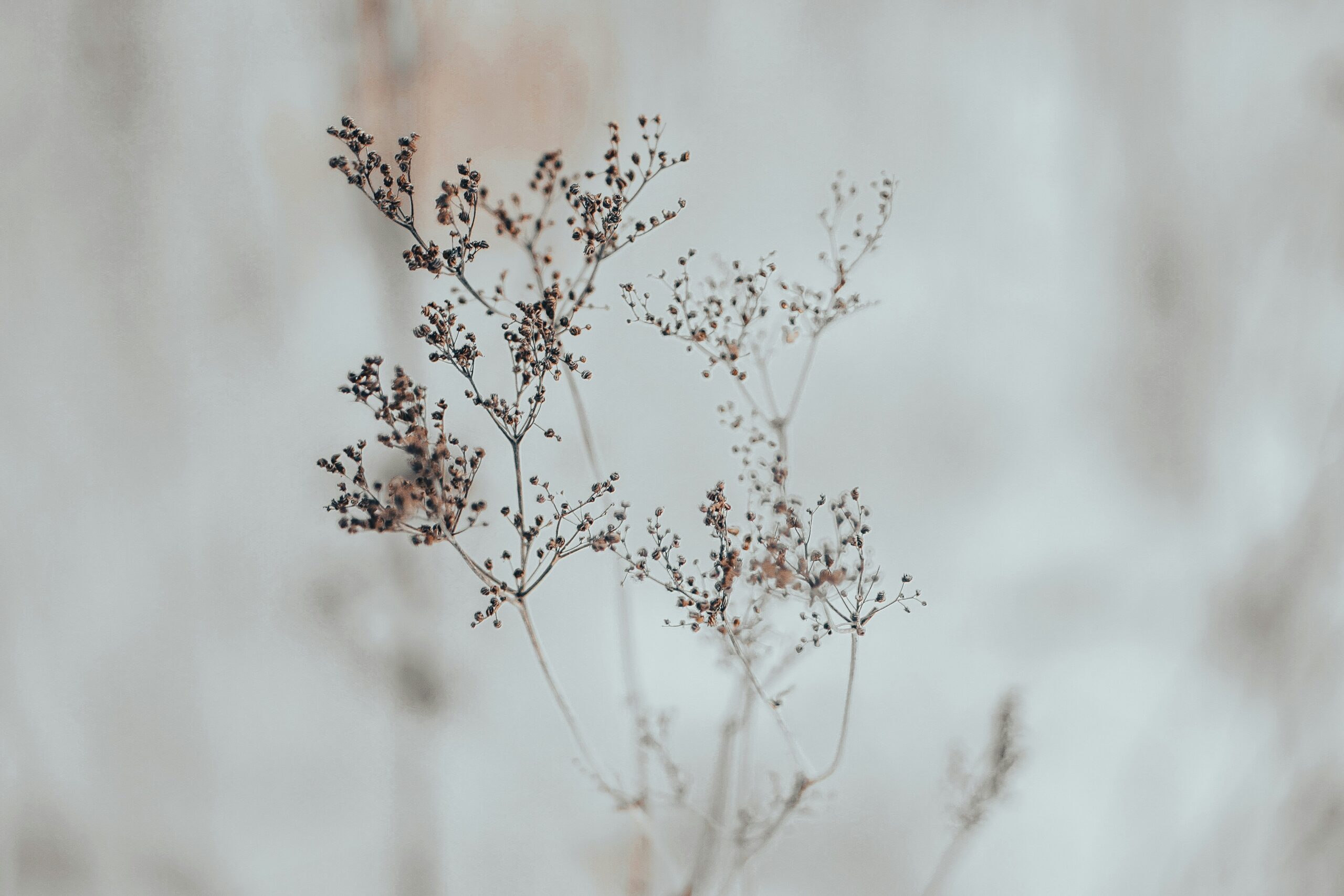 Mindfulness Tréner - Image 10