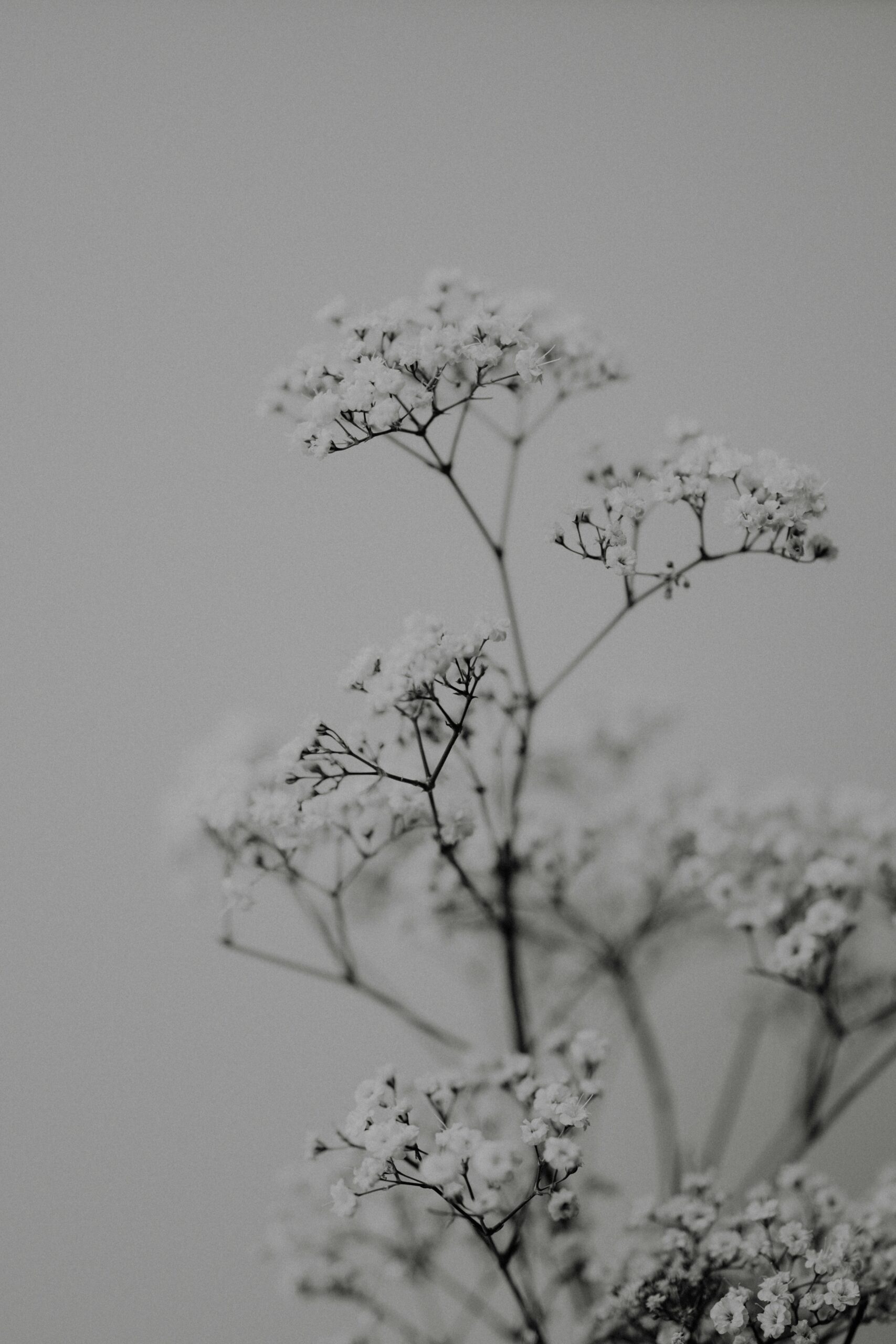 Mindfulness Tréner - Image 11