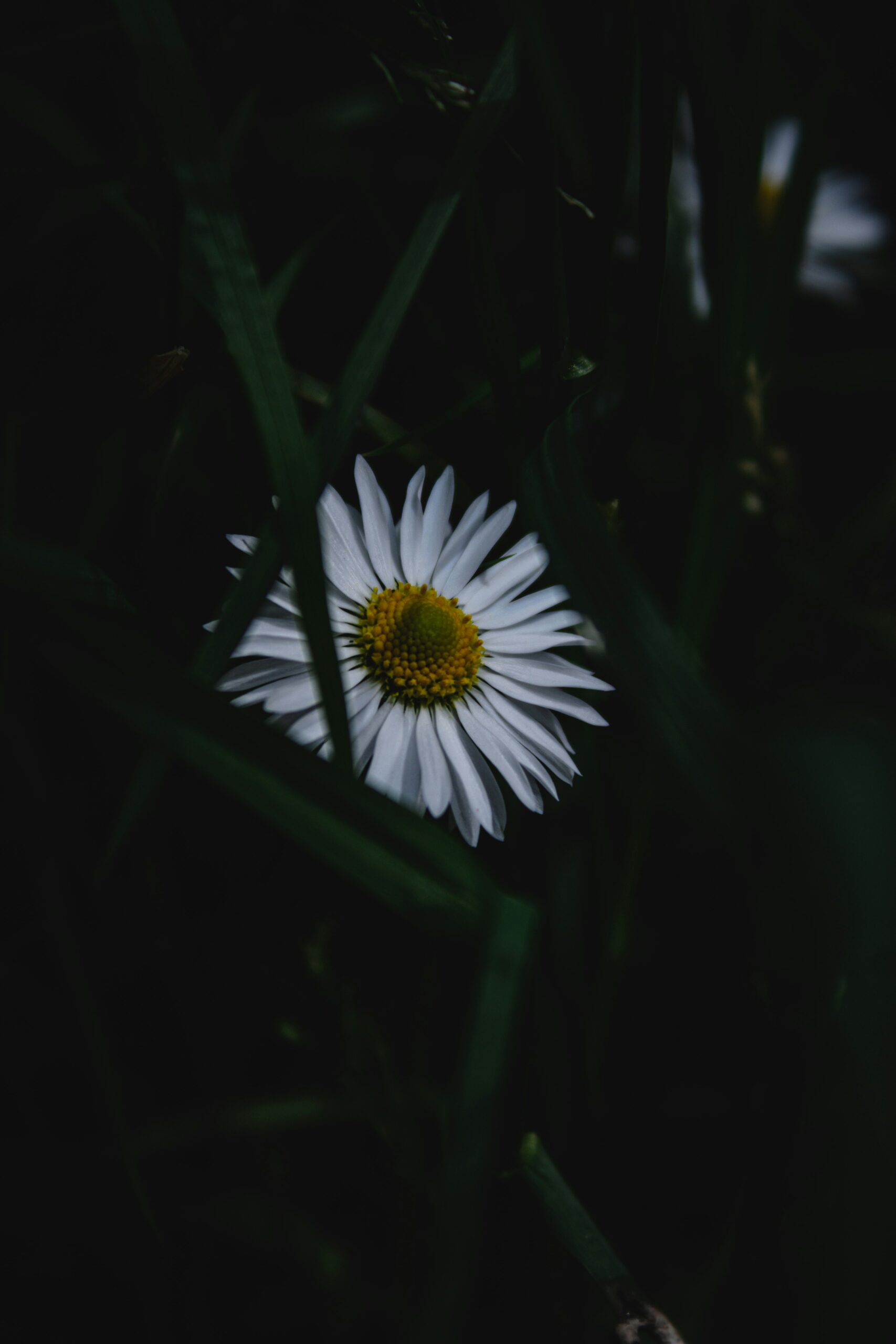 Mindfulness Tréner - Image 9