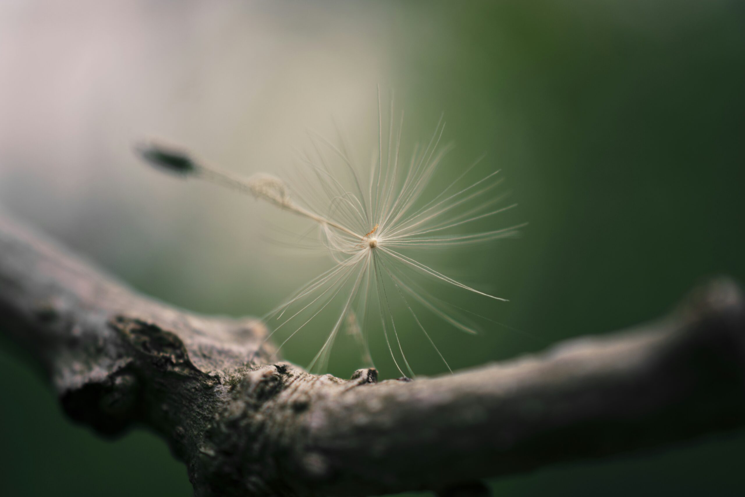 Mindfulness Tréner - Image 6