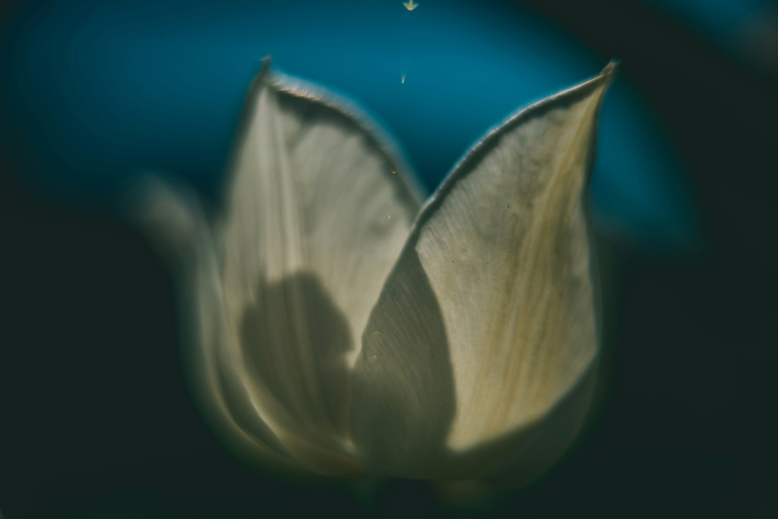 Mindfulness Tréner - Image 7